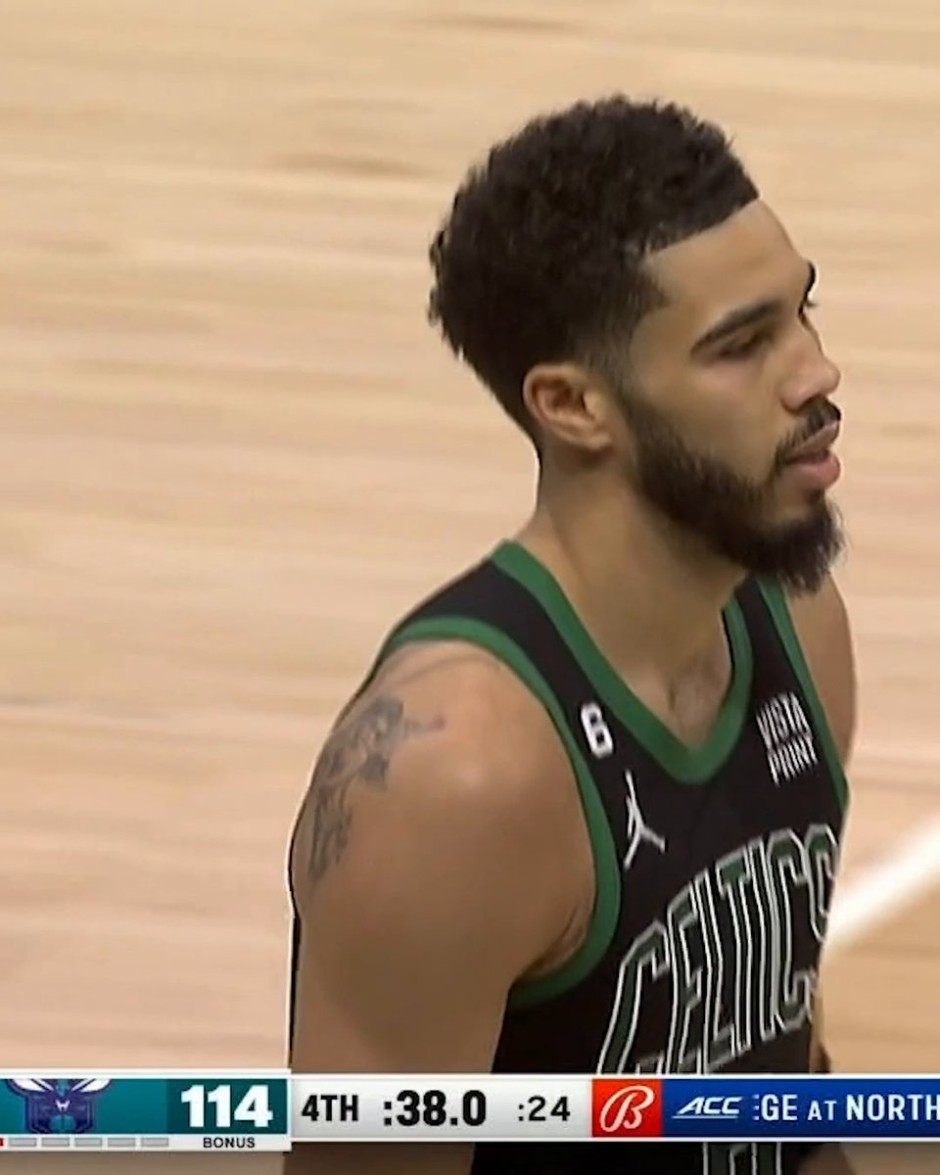 鸭毛等天然 鸭毛等天然