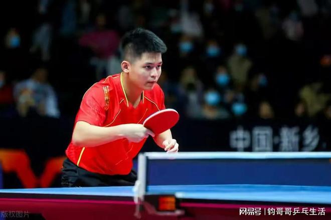 收集多样化 收集多样化