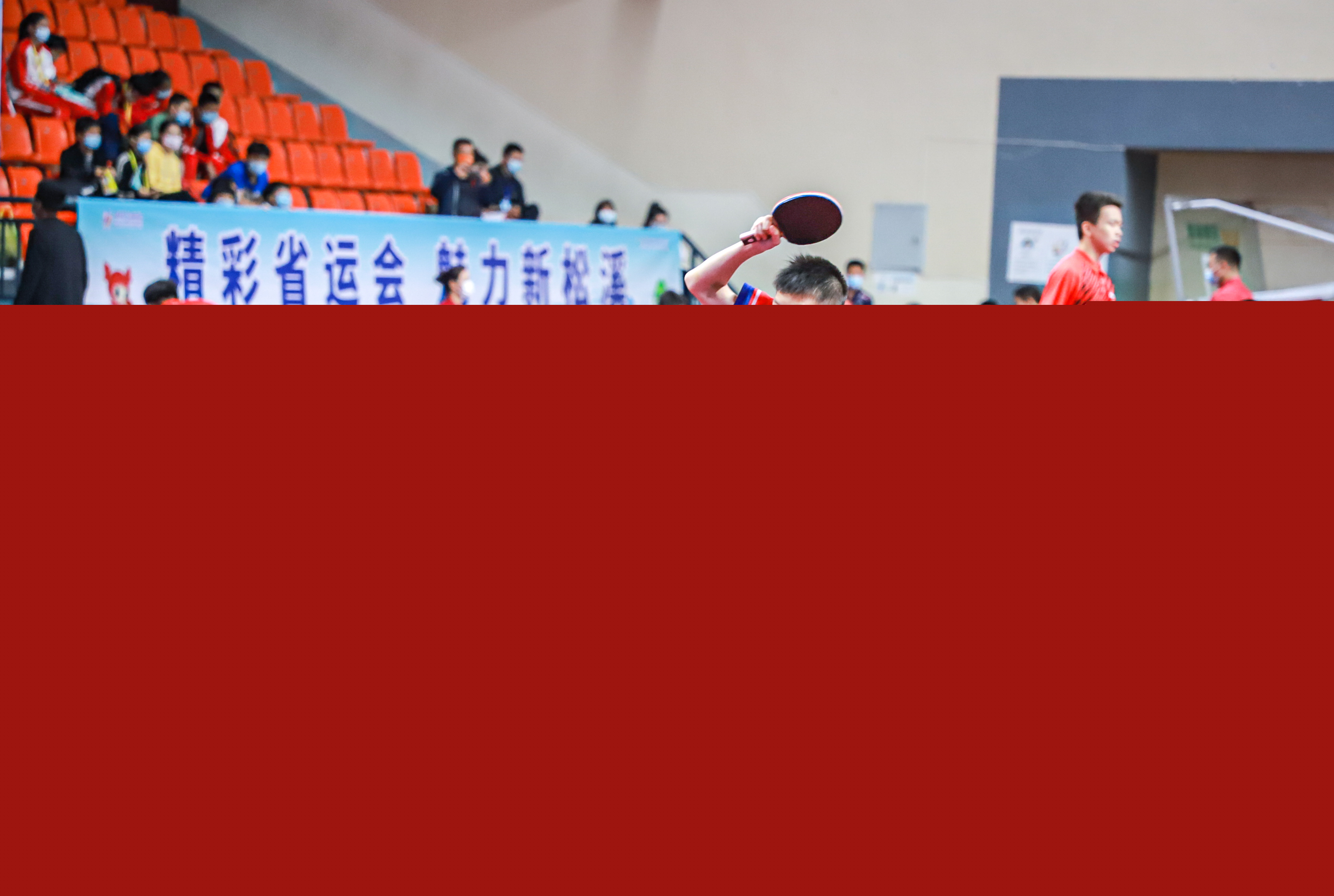 女子单打冠 女子单打冠