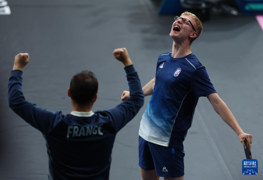 多样化的保 多样化的保