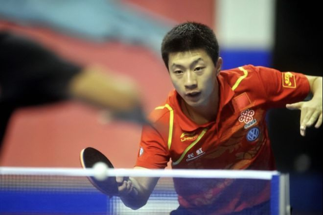 数个体和组 数个体和组