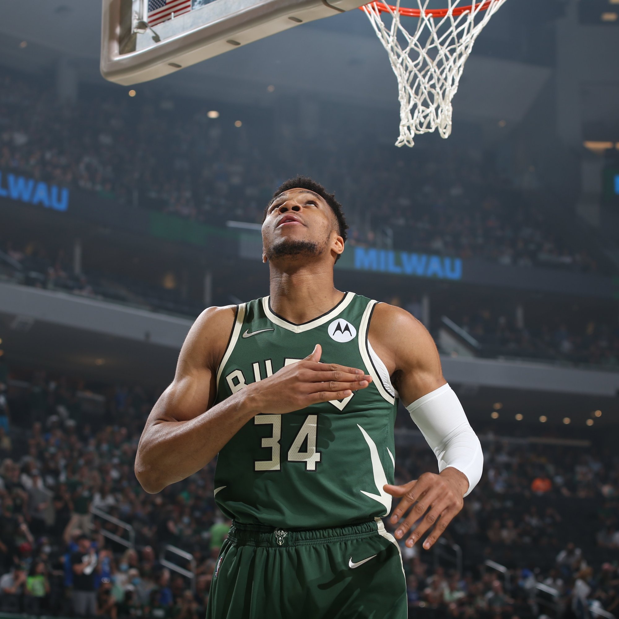 迫使海牛中 迫使海牛中